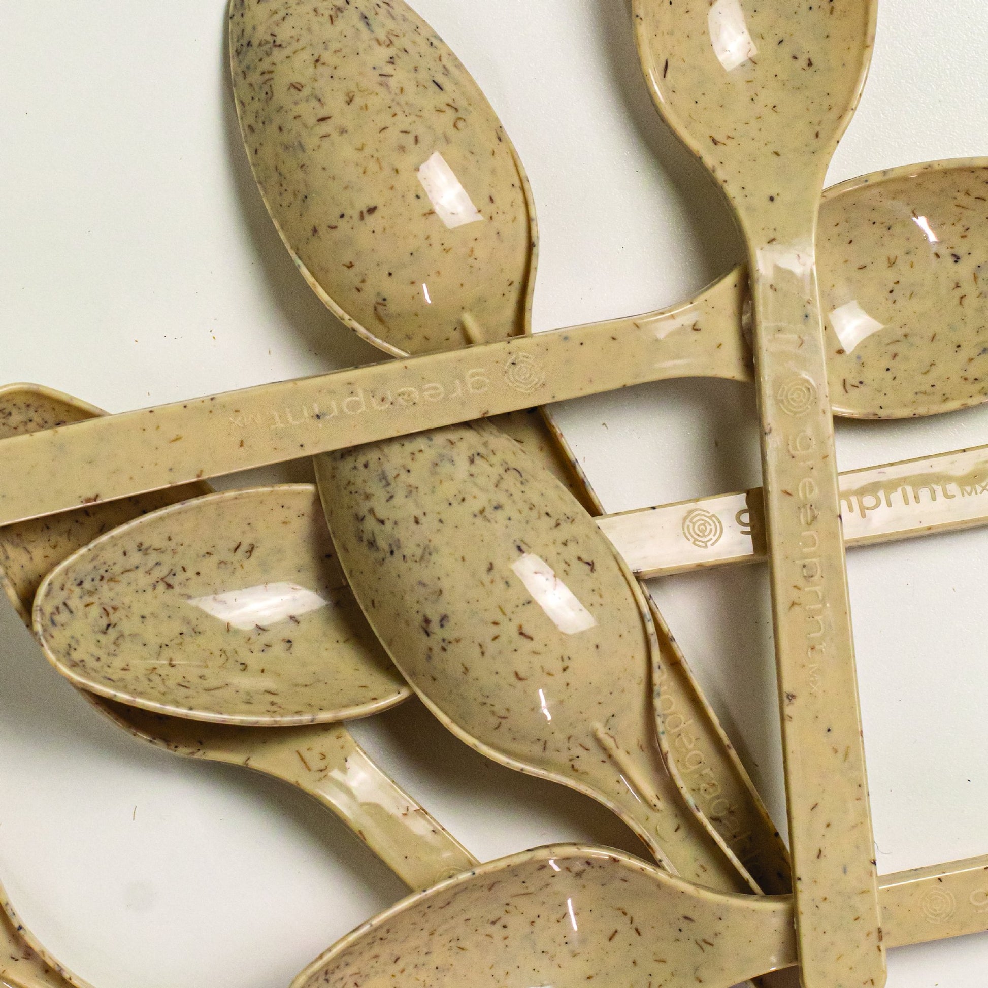S1000 - Bulk natural agave spoons - 6.6” – shopgreenprint